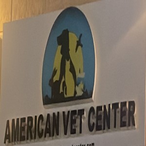 American vet center